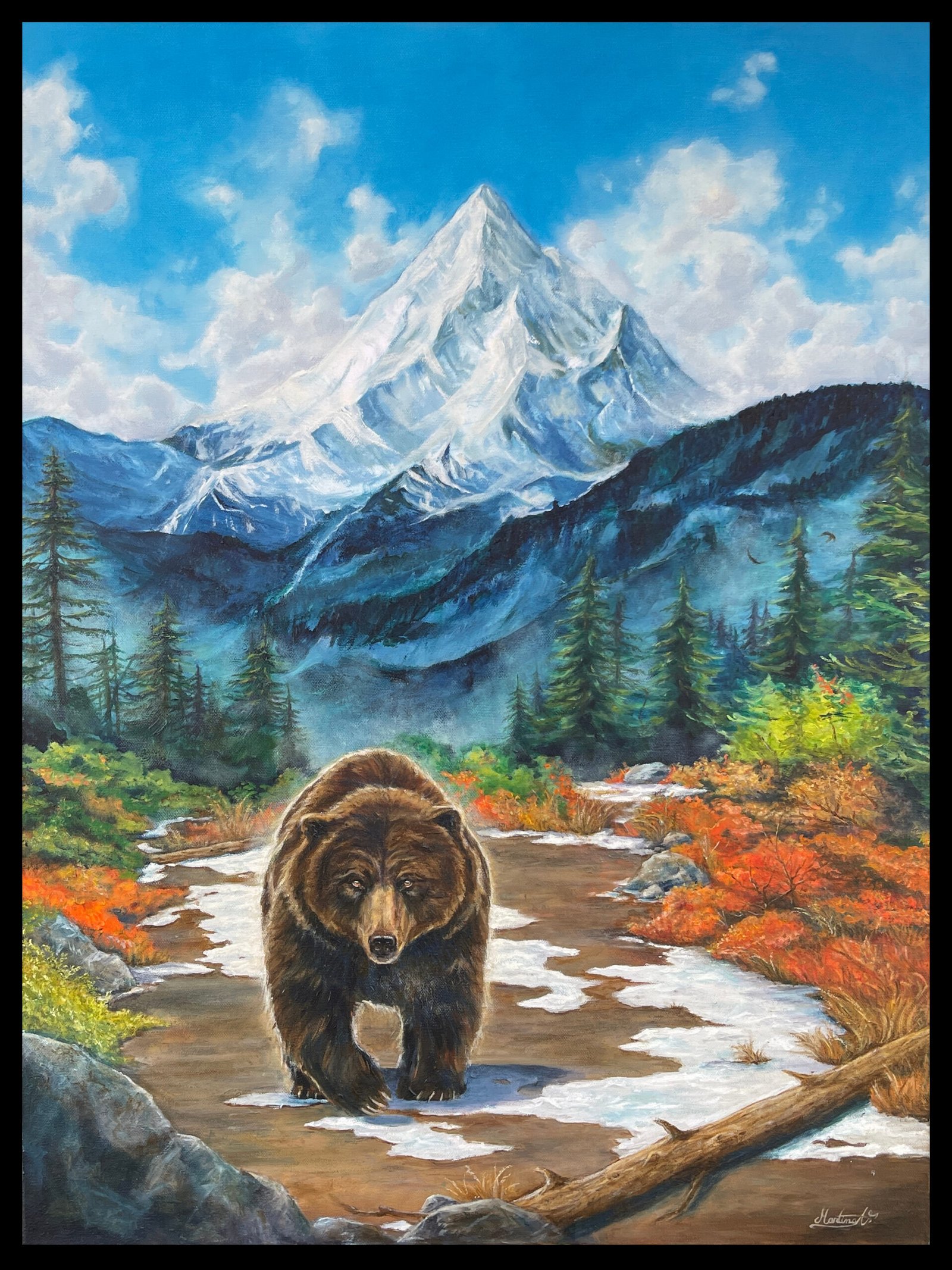 oso