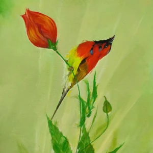 import placeholder for 2537